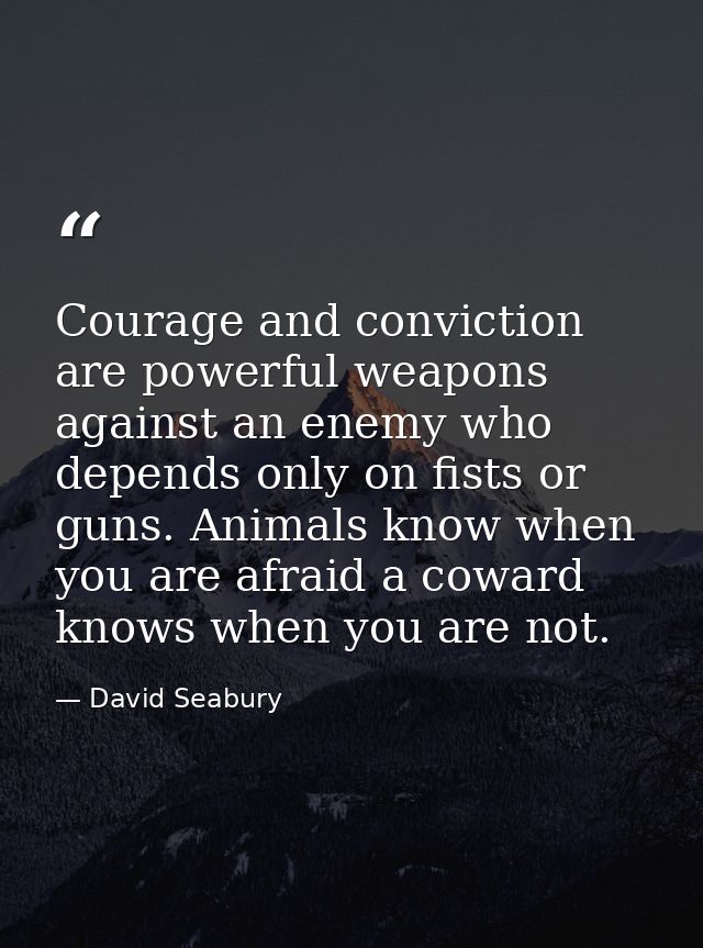 Courage and conviction are powerful weapons against an enemy who depends only on fists or guns. Animals know when you ar — David Seabury