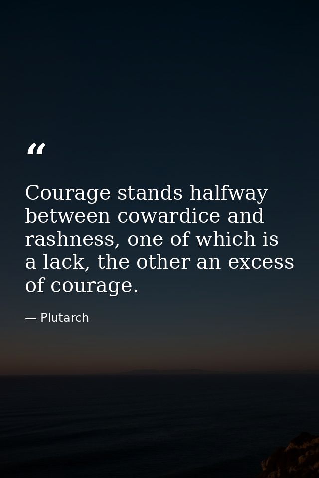 Courage stands halfway between cowardice and rashness, one of which is a lack, the other an excess of courage. — Plutarch