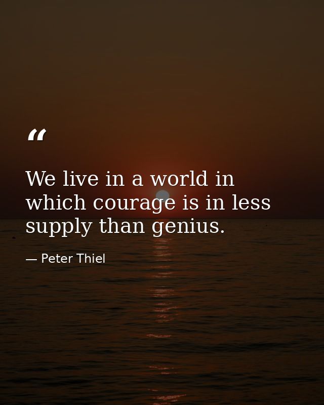 We live in a world in which courage is in less supply than genius. — Peter Thiel