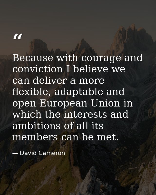 Because with courage and conviction I believe we can deliver a more flexible, adaptable and open European Union in which — David Cameron