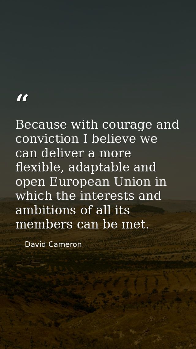 Because with courage and conviction I believe we can deliver a more flexible, adaptable and open European Union in which — David Cameron