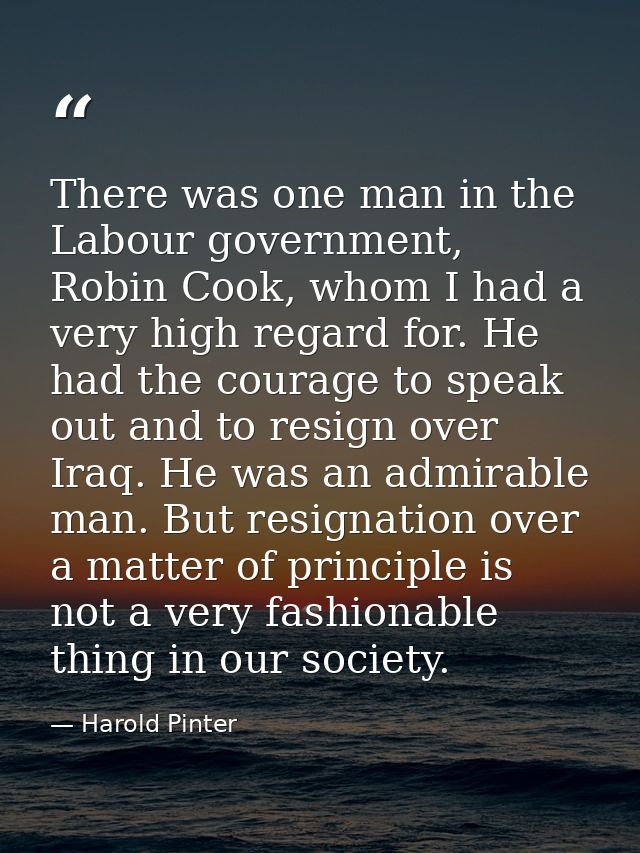 There was one man in the Labour government, Robin Cook, whom I had a very high regard for. He had the courage to speak o — Harold Pinter