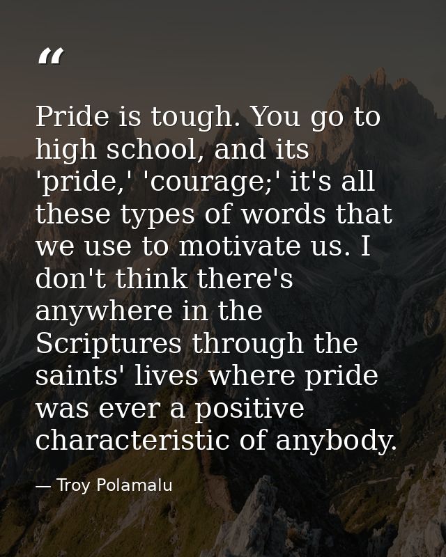 Pride is tough. You go to high school, and its 'pride,' 'courage;' it's all these types of words that we use to motivate — Troy Polamalu