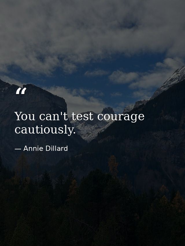 You can't test courage cautiously. — Annie Dillard