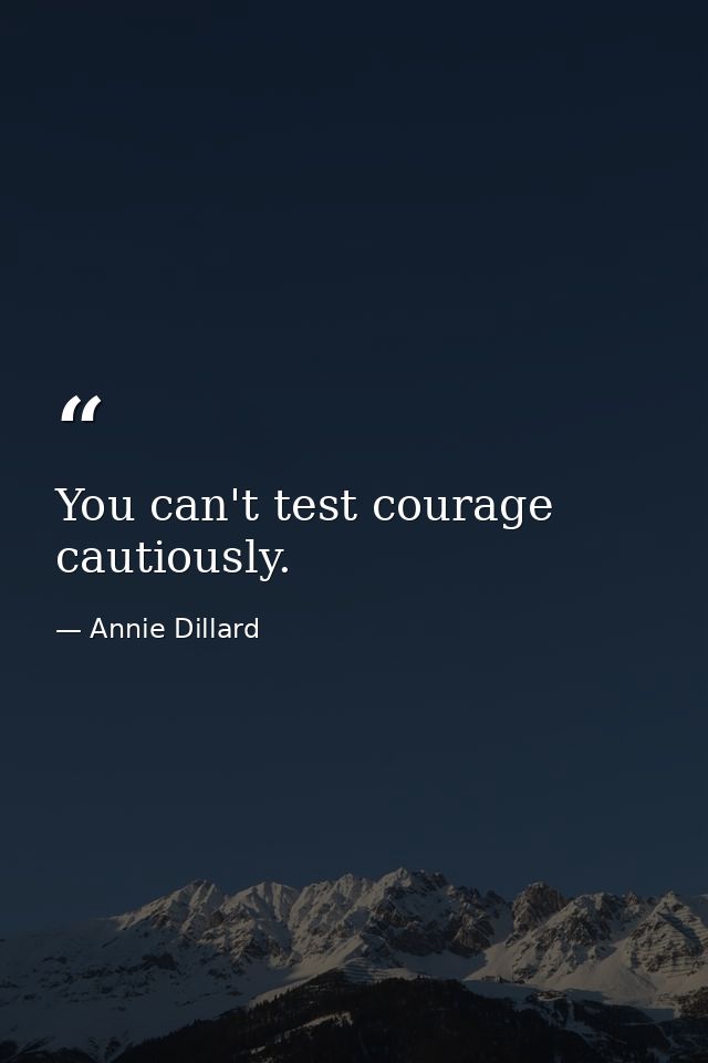 You can't test courage cautiously. — Annie Dillard