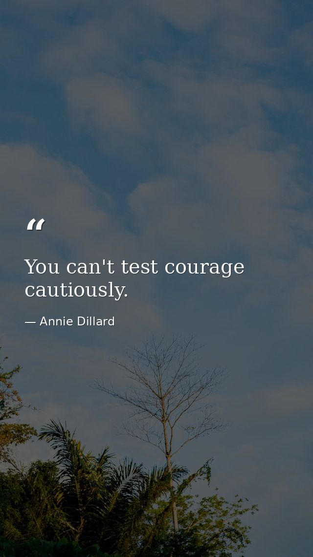 You can't test courage cautiously. — Annie Dillard