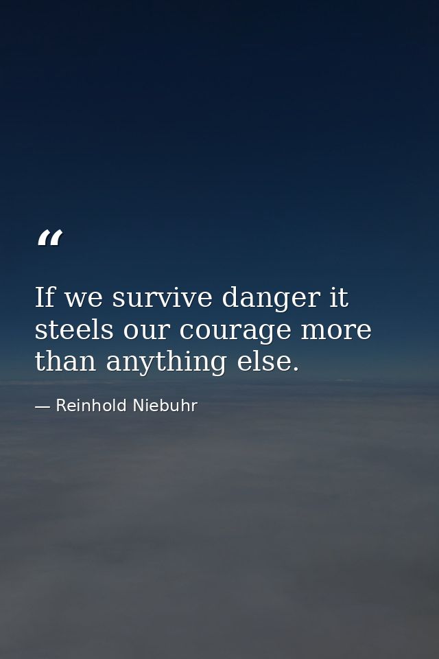 If we survive danger it steels our courage more than anything else. — Reinhold Niebuhr