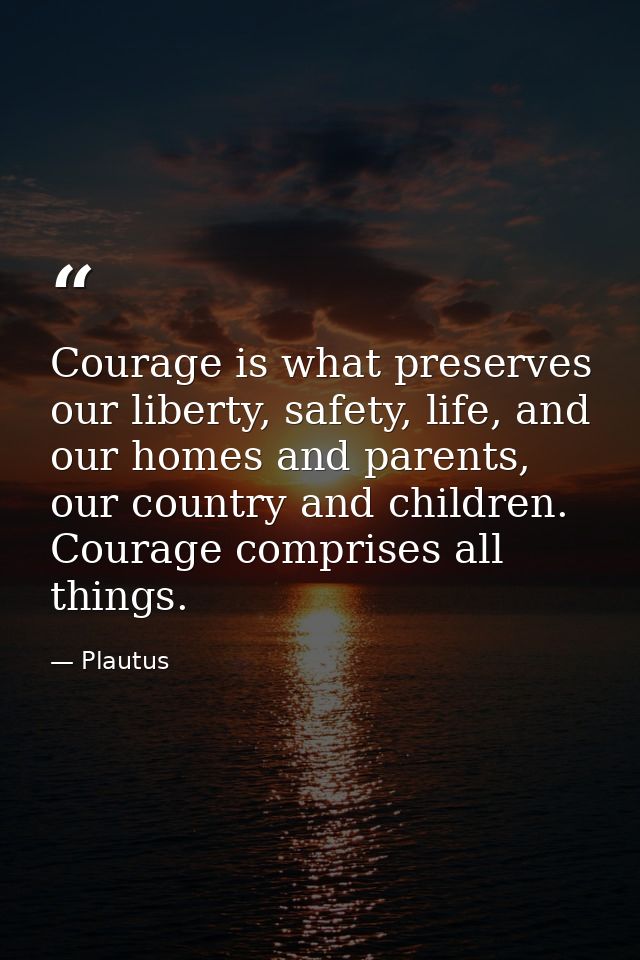 Courage is what preserves our liberty, safety, life, and our homes and parents, our country and children. Courage compri — Plautus