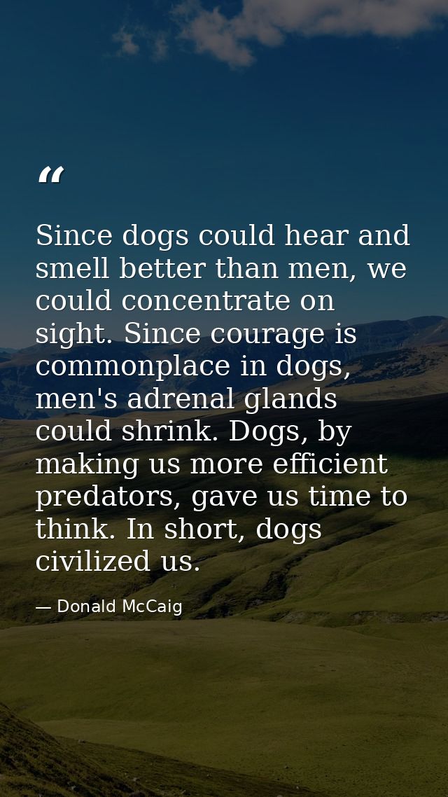 Since dogs could hear and smell better than men, we could concentrate on sight. Since courage is commonplace in dogs, me — Donald McCaig