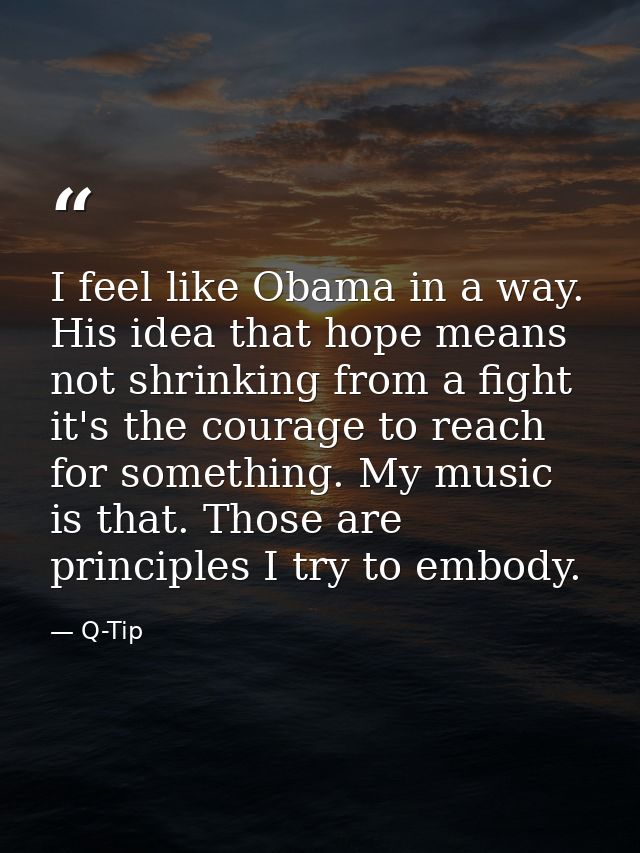 I feel like Obama in a way. His idea that hope means not shrinking from a fight it's the courage to reach for something. — Q-Tip