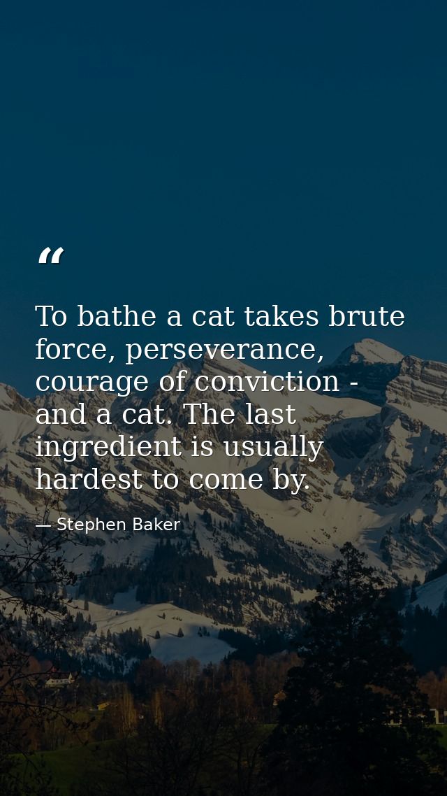 To bathe a cat takes brute force, perseverance, courage of conviction - and a cat. The last ingredient is usually hardes — Stephen Baker