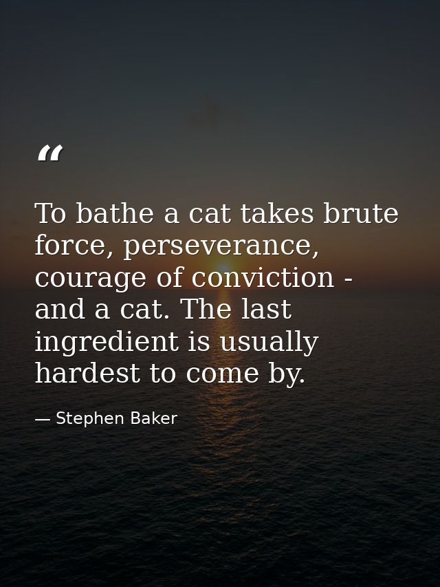 To bathe a cat takes brute force, perseverance, courage of conviction - and a cat. The last ingredient is usually hardes — Stephen Baker
