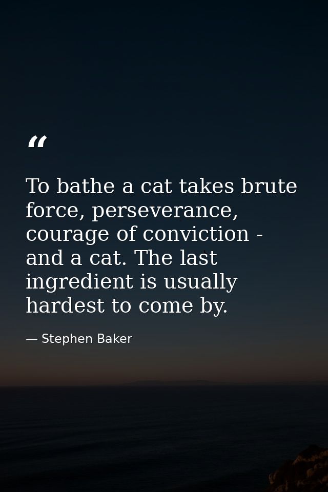 To bathe a cat takes brute force, perseverance, courage of conviction - and a cat. The last ingredient is usually hardes — Stephen Baker