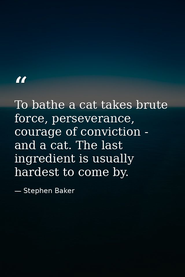 To bathe a cat takes brute force, perseverance, courage of conviction - and a cat. The last ingredient is usually hardes — Stephen Baker