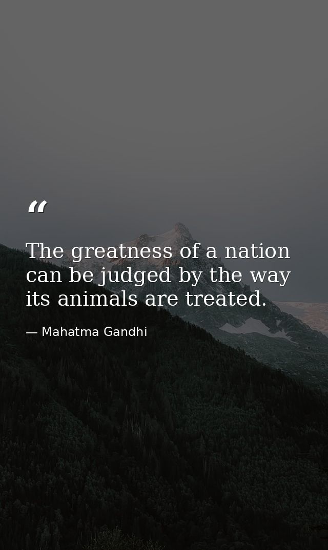 The greatness of a nation can be judged by the way its animals are treated. — Mahatma Gandhi