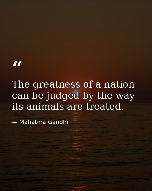 The greatness of a nation can be judged by the way its animals are treated. — Mahatma Gandhi
