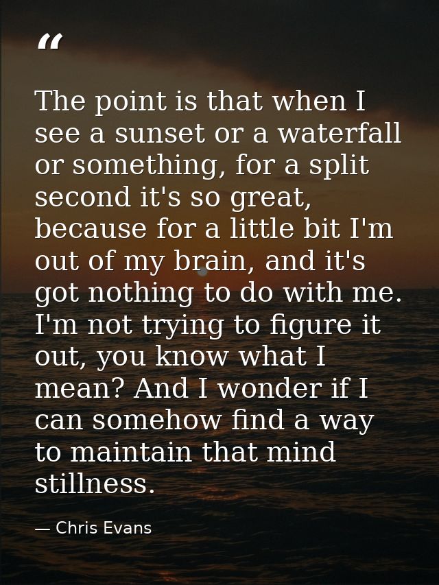 The point is that when I see a sunset or a waterfall or something, for a split second it's so great, because for a littl — Chris Evans