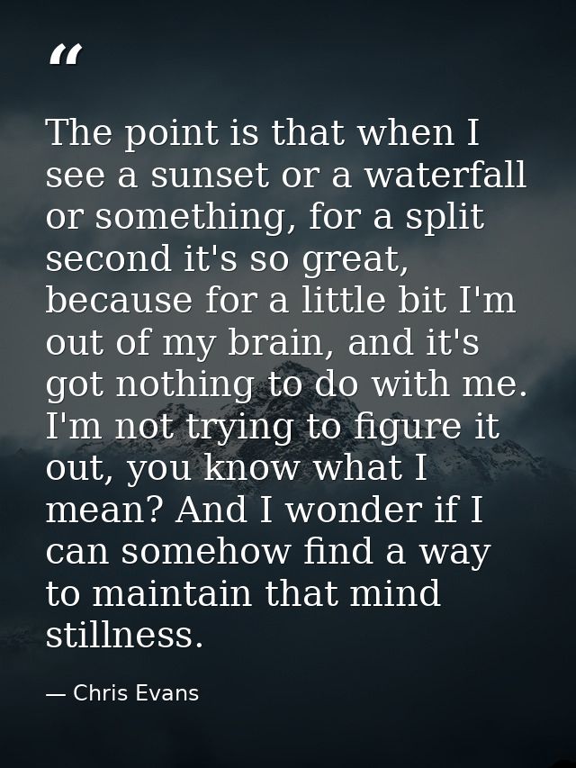 The point is that when I see a sunset or a waterfall or something, for a split second it's so great, because for a littl — Chris Evans