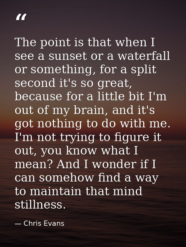 The point is that when I see a sunset or a waterfall or something, for a split second it's so great, because for a littl — Chris Evans