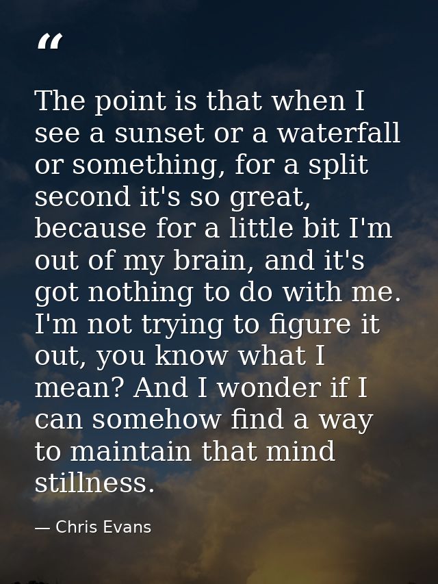 The point is that when I see a sunset or a waterfall or something, for a split second it's so great, because for a littl — Chris Evans