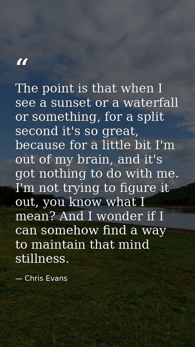 The point is that when I see a sunset or a waterfall or something, for a split second it's so great, because for a littl — Chris Evans