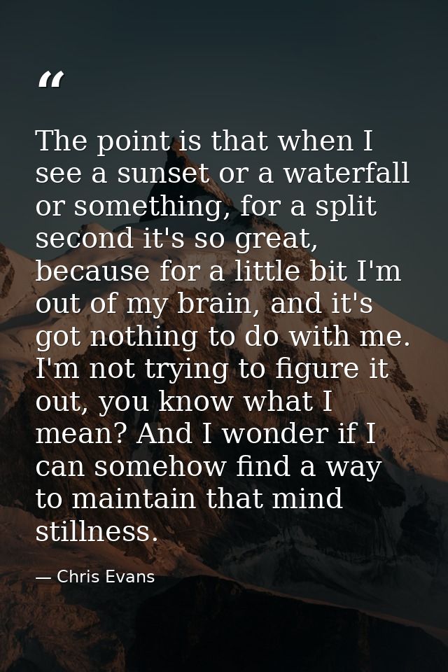 The point is that when I see a sunset or a waterfall or something, for a split second it's so great, because for a littl — Chris Evans
