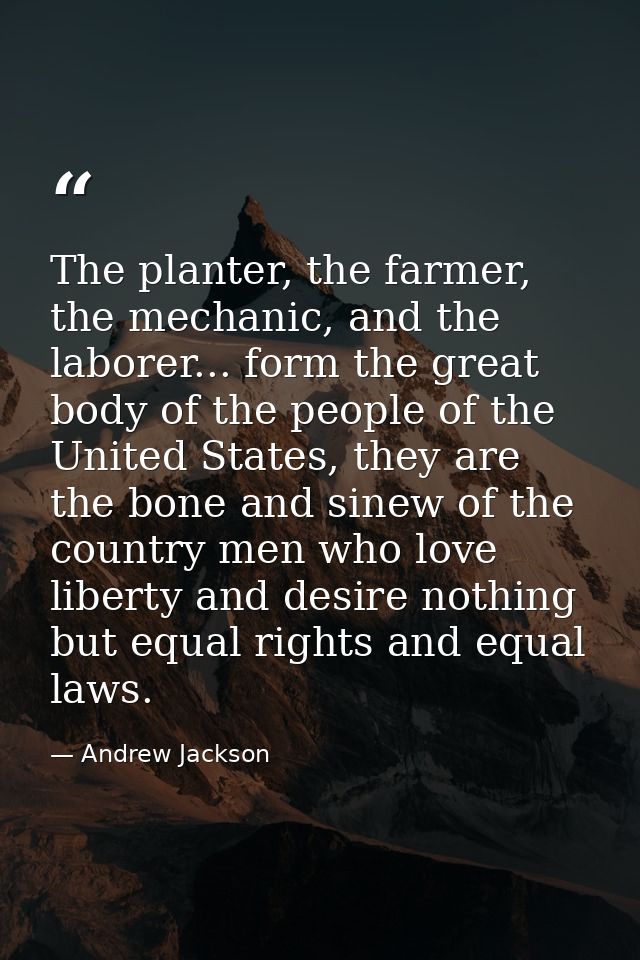The planter, the farmer, the mechanic, and the laborer... form the great body of the people of the United States, they a — Andrew Jackson
