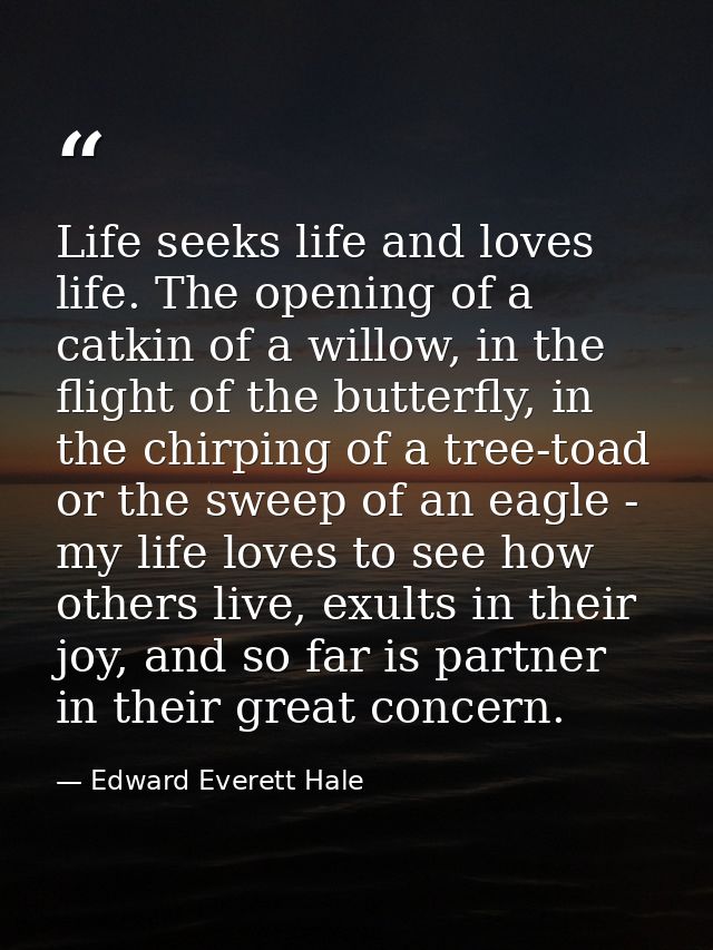 Life seeks life and loves life. The opening of a catkin of a willow, in the flight of the butterfly, in the chirping of  — Edward Everett Hale