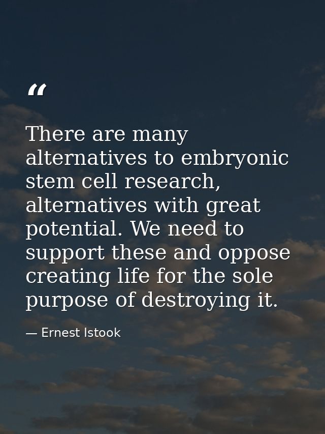 There are many alternatives to embryonic stem cell research, alternatives with great potential. We need to support these — Ernest Istook