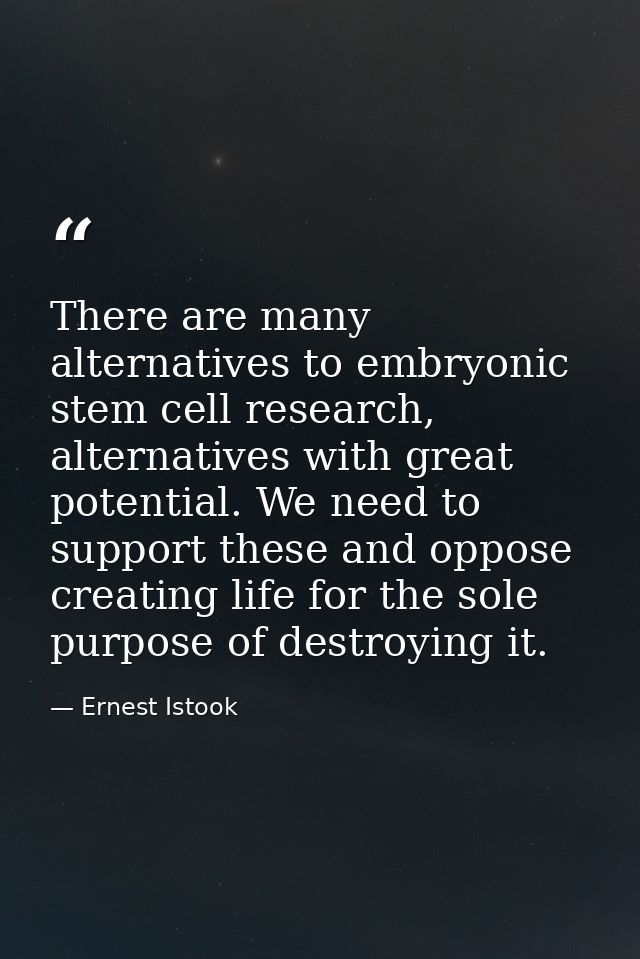 There are many alternatives to embryonic stem cell research, alternatives with great potential. We need to support these — Ernest Istook
