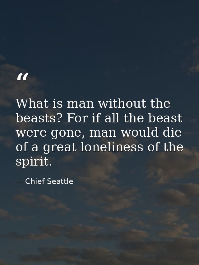 What is man without the beasts? For if all the beast were gone, man would die of a great loneliness of the spirit. — Chief Seattle
