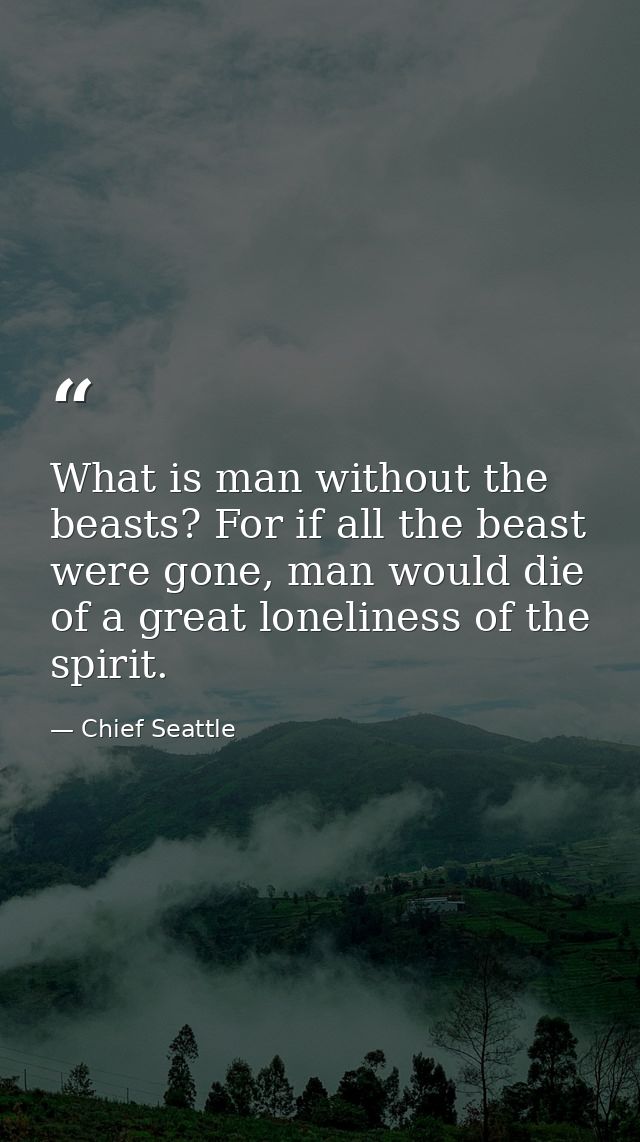 What is man without the beasts? For if all the beast were gone, man would die of a great loneliness of the spirit. — Chief Seattle