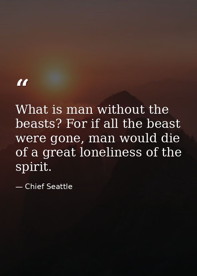What is man without the beasts? For if all the beast were gone, man would die of a great loneliness of the spirit. — Chief Seattle