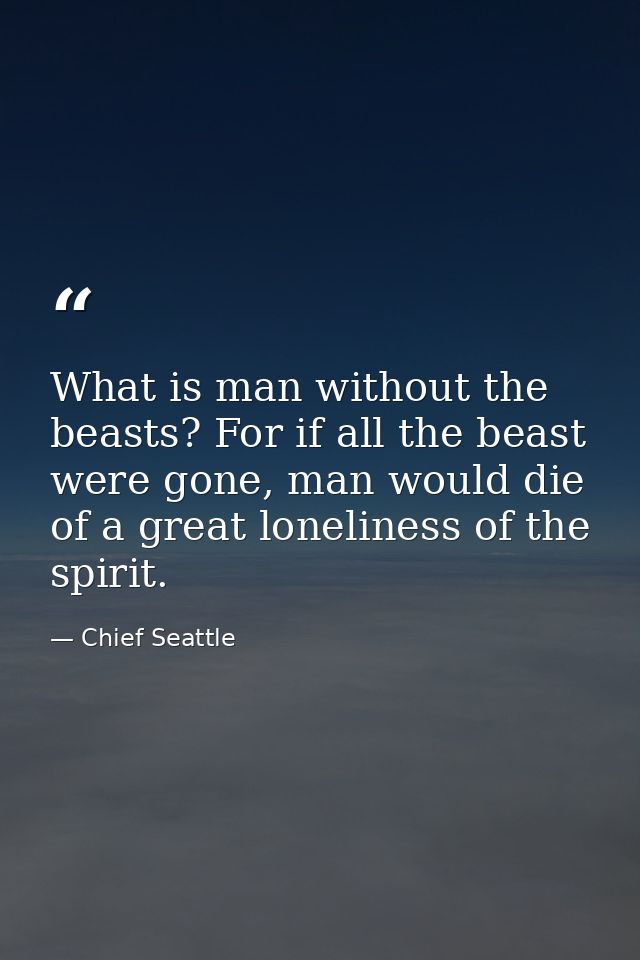 What is man without the beasts? For if all the beast were gone, man would die of a great loneliness of the spirit. — Chief Seattle