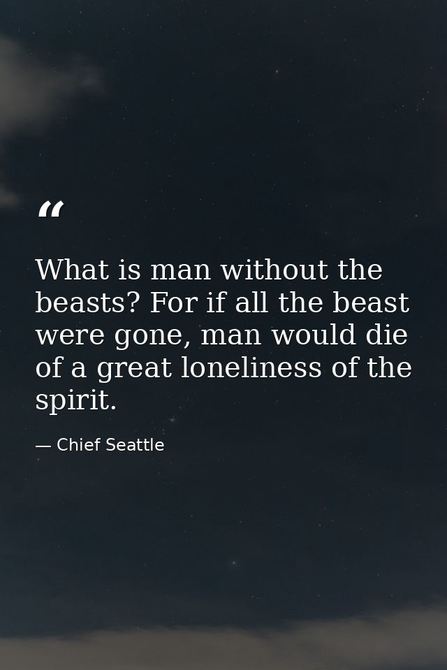 What is man without the beasts? For if all the beast were gone, man would die of a great loneliness of the spirit. — Chief Seattle