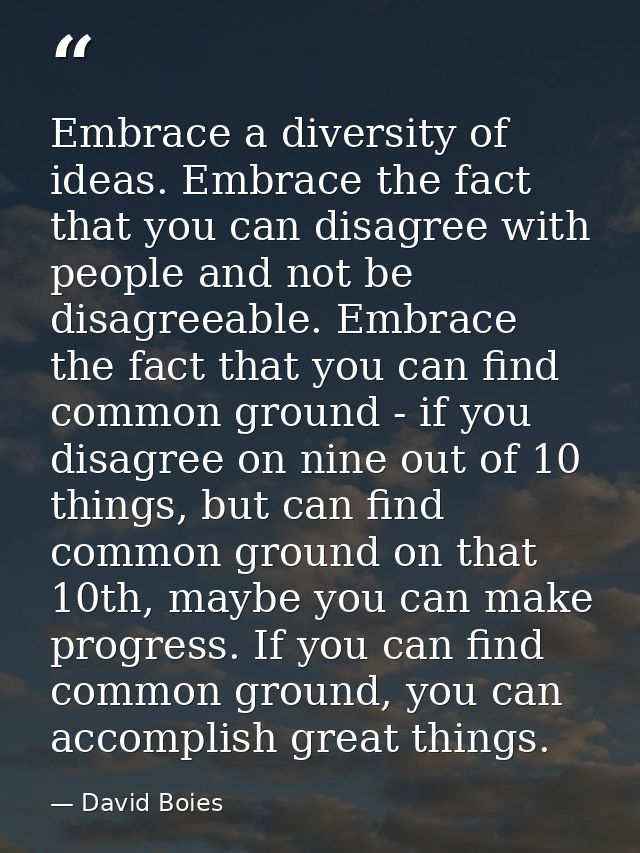 Embrace a diversity of ideas. Embrace the fact that you can disagree with people and not be disagreeable. Embrace the fa — David Boies