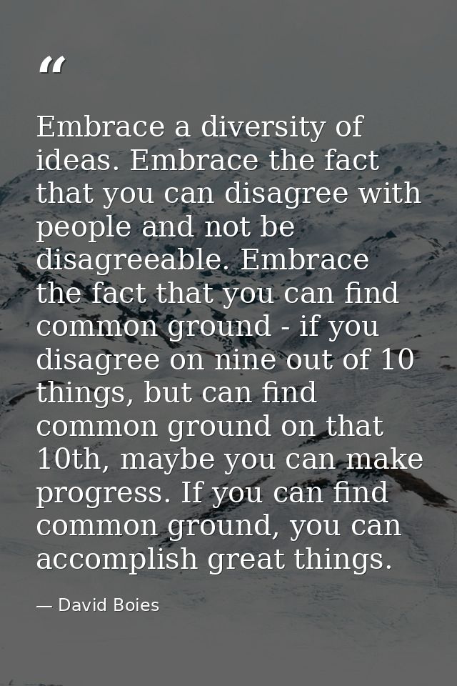 Embrace a diversity of ideas. Embrace the fact that you can disagree with people and not be disagreeable. Embrace the fa — David Boies