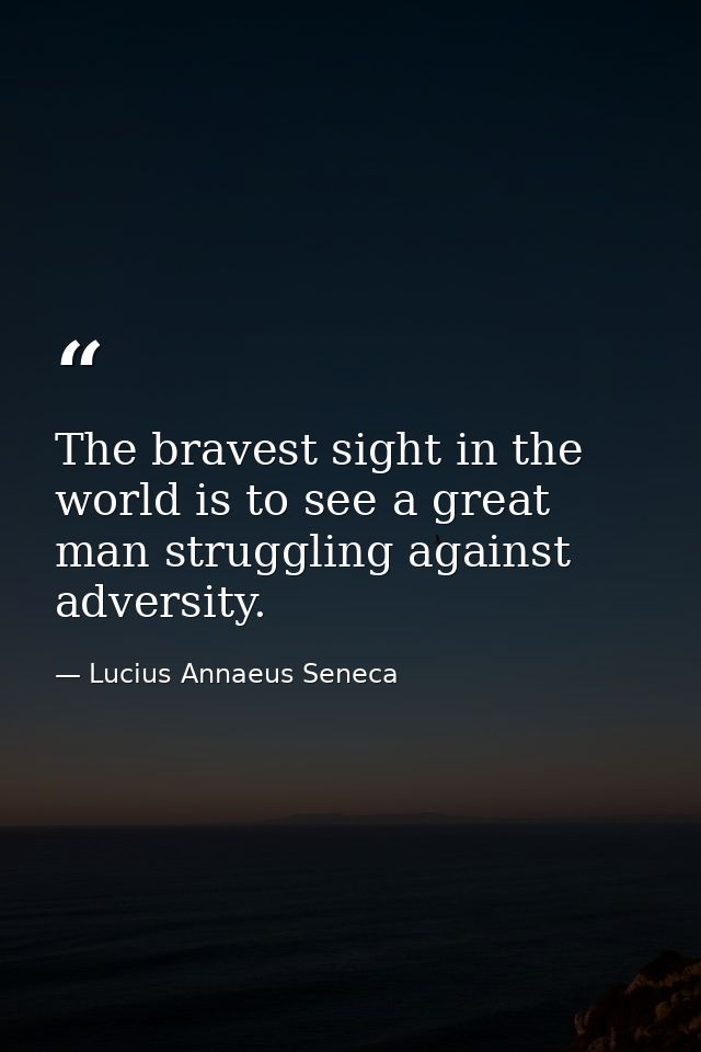 The bravest sight in the world is to see a great man struggling against adversity. — Lucius Annaeus Seneca