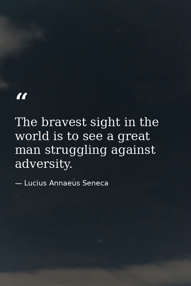 The bravest sight in the world is to see a great man struggling against adversity. — Lucius Annaeus Seneca