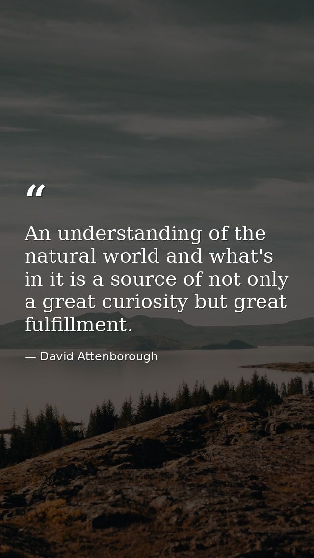 An understanding of the natural world and what's in it is a source of not only a great curiosity but great fulfillment. — David Attenborough
