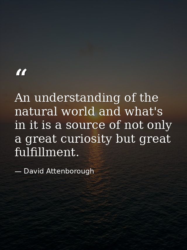 An understanding of the natural world and what's in it is a source of not only a great curiosity but great fulfillment. — David Attenborough