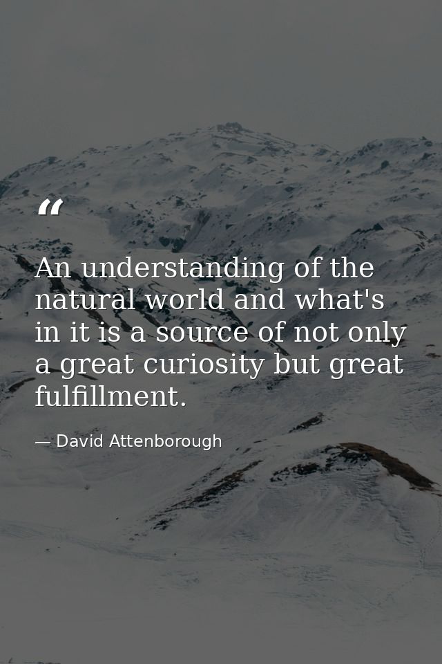An understanding of the natural world and what's in it is a source of not only a great curiosity but great fulfillment. — David Attenborough