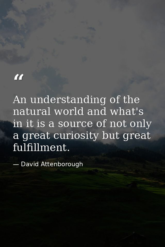 An understanding of the natural world and what's in it is a source of not only a great curiosity but great fulfillment. — David Attenborough