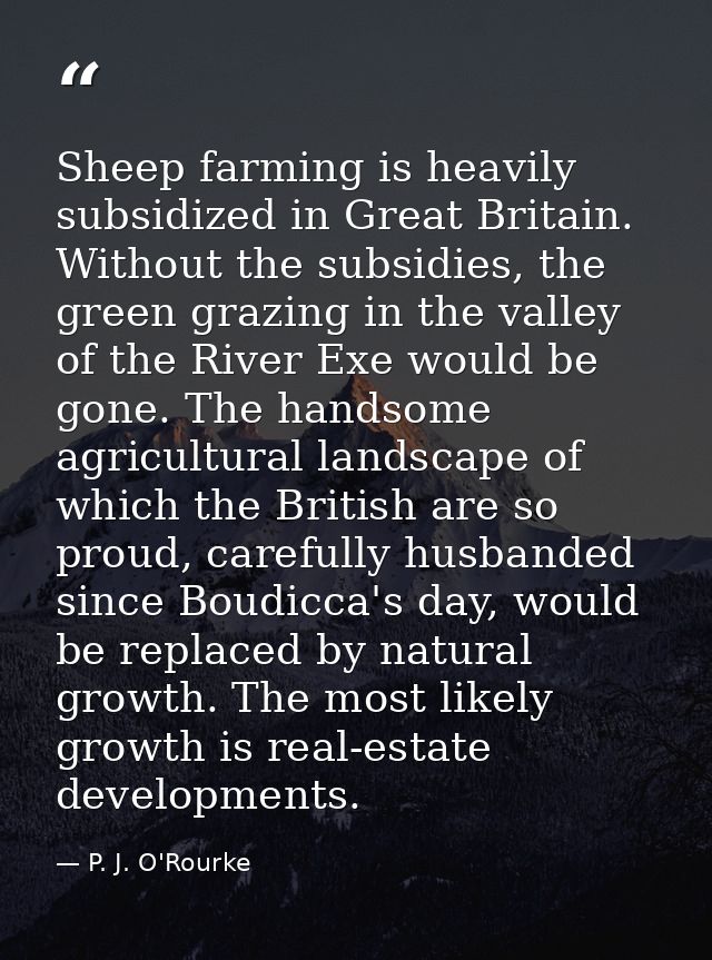 Sheep farming is heavily subsidized in Great Britain. Without the subsidies, the green grazing in the valley of the Rive — P. J. O'Rourke