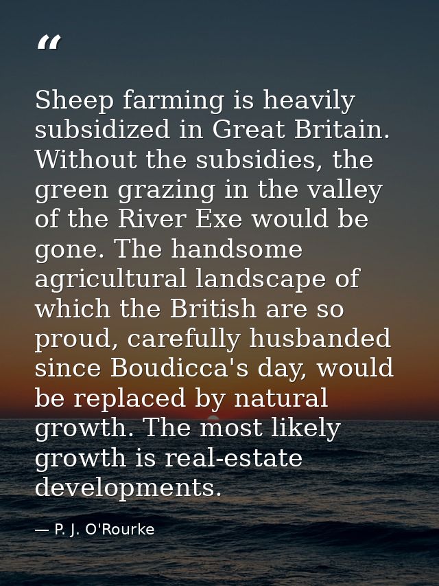 Sheep farming is heavily subsidized in Great Britain. Without the subsidies, the green grazing in the valley of the Rive — P. J. O'Rourke