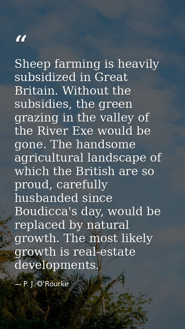 Sheep farming is heavily subsidized in Great Britain. Without the subsidies, the green grazing in the valley of the Rive — P. J. O'Rourke