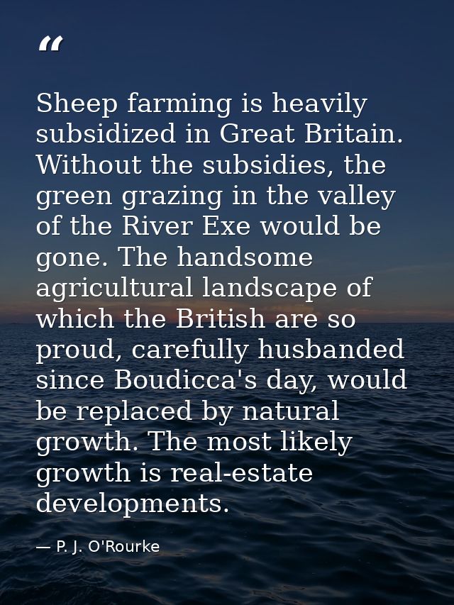 Sheep farming is heavily subsidized in Great Britain. Without the subsidies, the green grazing in the valley of the Rive — P. J. O'Rourke
