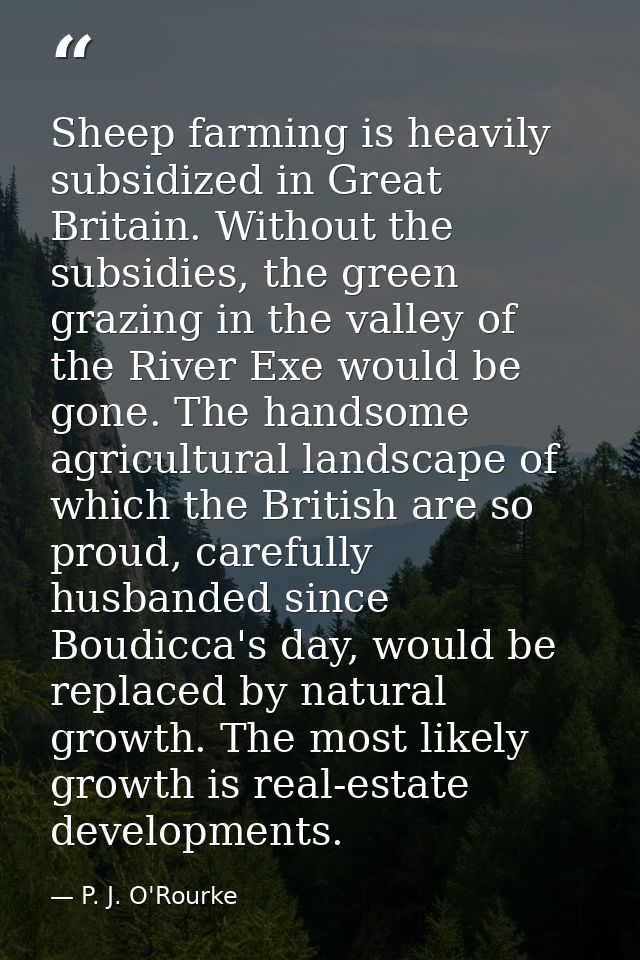 Sheep farming is heavily subsidized in Great Britain. Without the subsidies, the green grazing in the valley of the Rive — P. J. O'Rourke