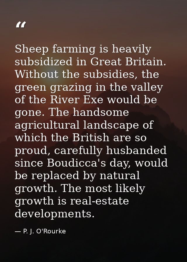 Sheep farming is heavily subsidized in Great Britain. Without the subsidies, the green grazing in the valley of the Rive — P. J. O'Rourke