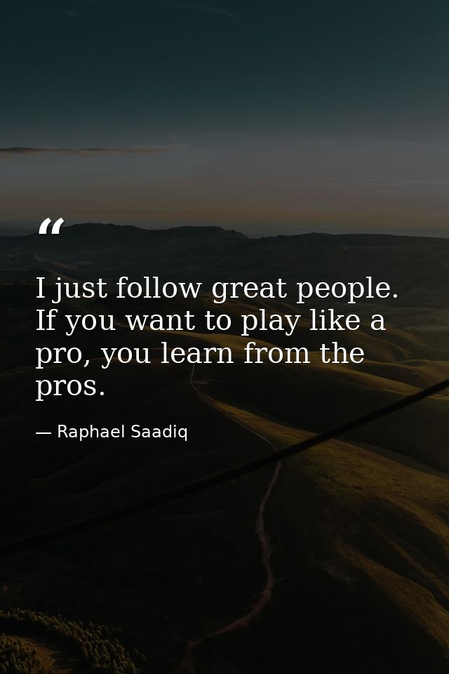 I just follow great people. If you want to play like a pro, you learn from the pros. — Raphael Saadiq